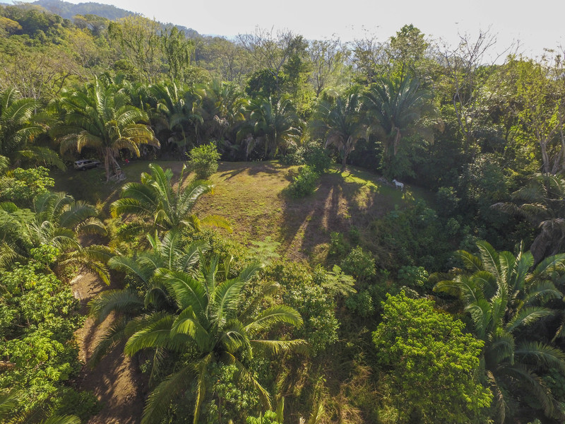 Land For Sale in Uvita Costa Rica